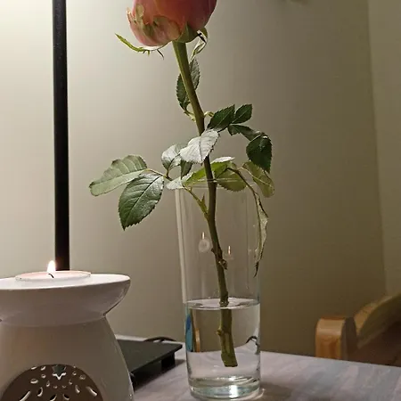 Appartement Katarzynka Stare Gdańsk