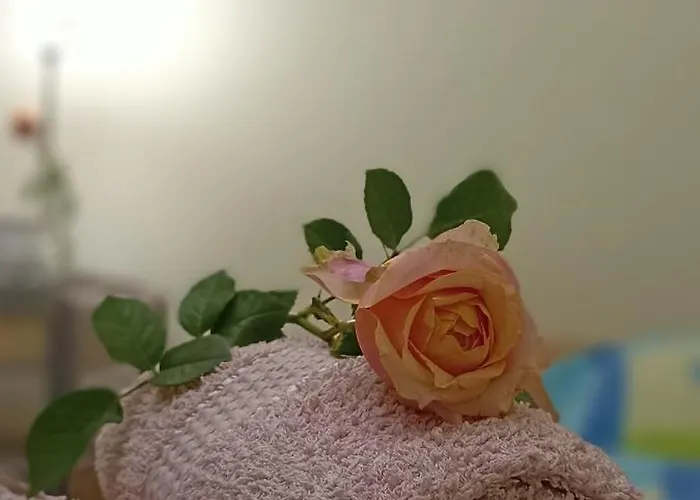 Apartamento Katarzynka Stare Gdańsk